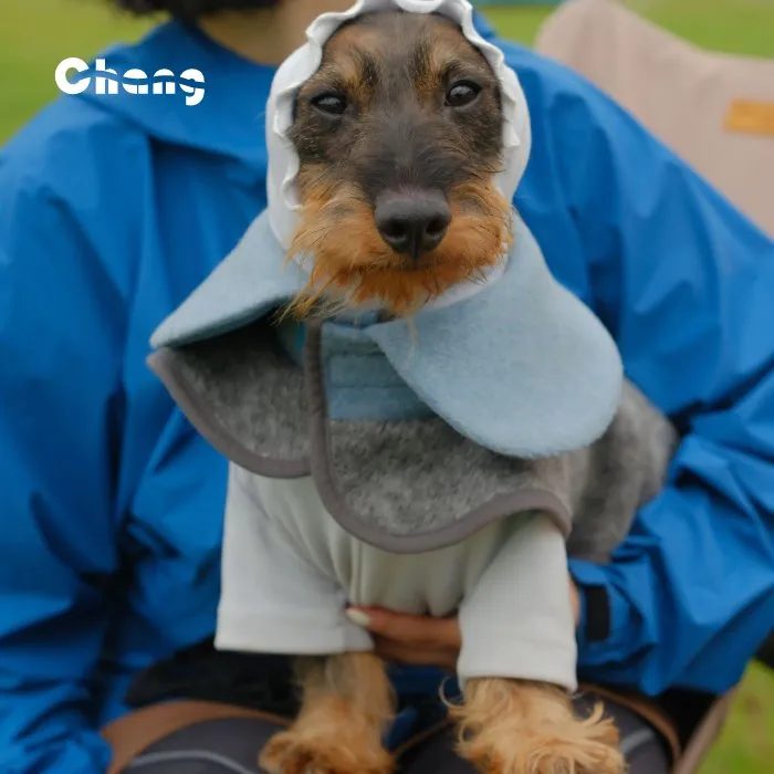 Dachshund Clothes  | GREENHOUSE FLORAL WOOL COAT