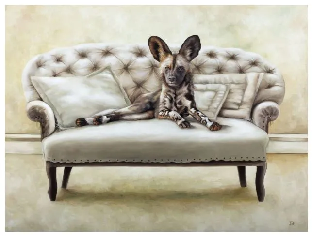 Wildlife At Leisure – Rhino And Friends Laminated Placemats – Set of 4